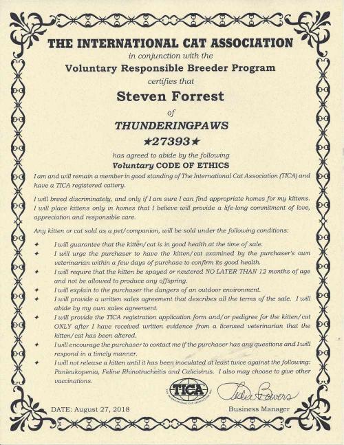 Voluntary Code Of Ethics 